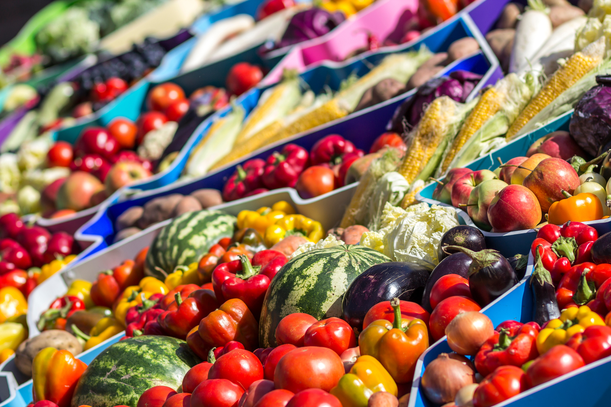 Farmers fruit market with various colorful fresh fruits and vege